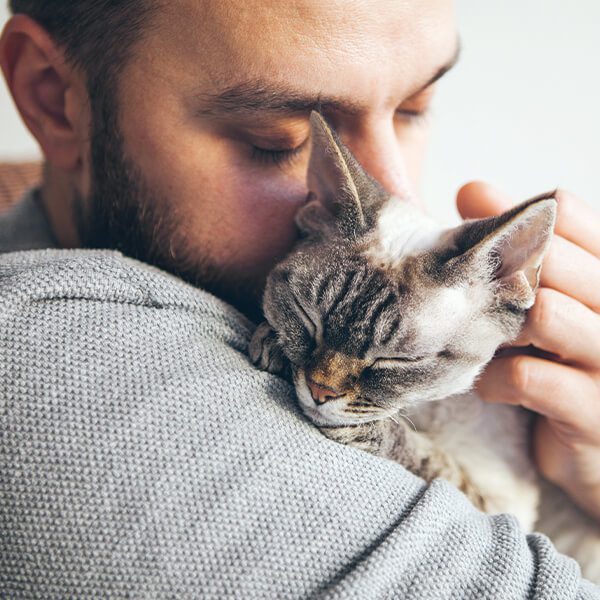 InHome Dog and Cat Euthanasia in Addison County, VT Addison County