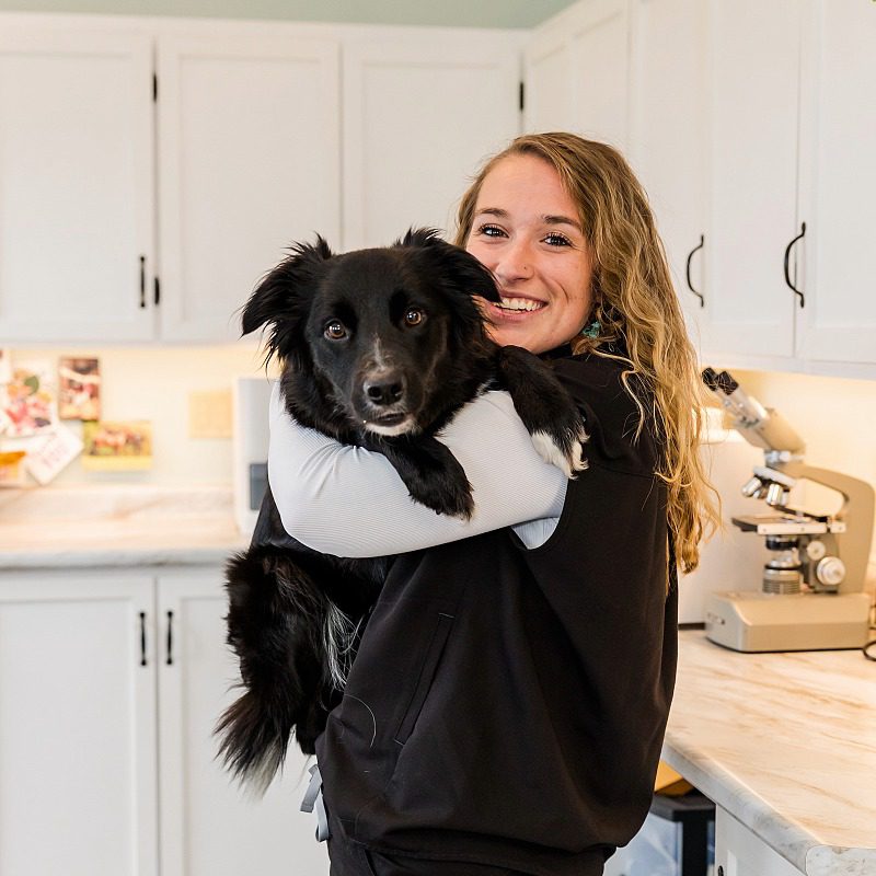 Female veterinary technician with long wavy blonde hair, holding a black medium sized dog in her arms.