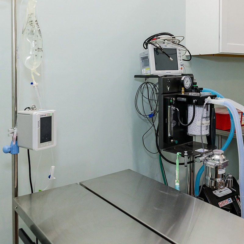 Surgical Suite 3 (1)