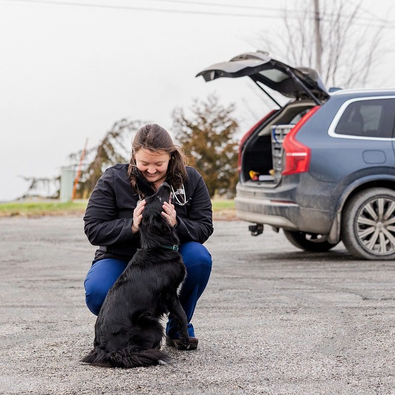 Female vet kneeling down petting black dog, mobile unit in background