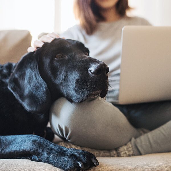 Woman and Dog at computer