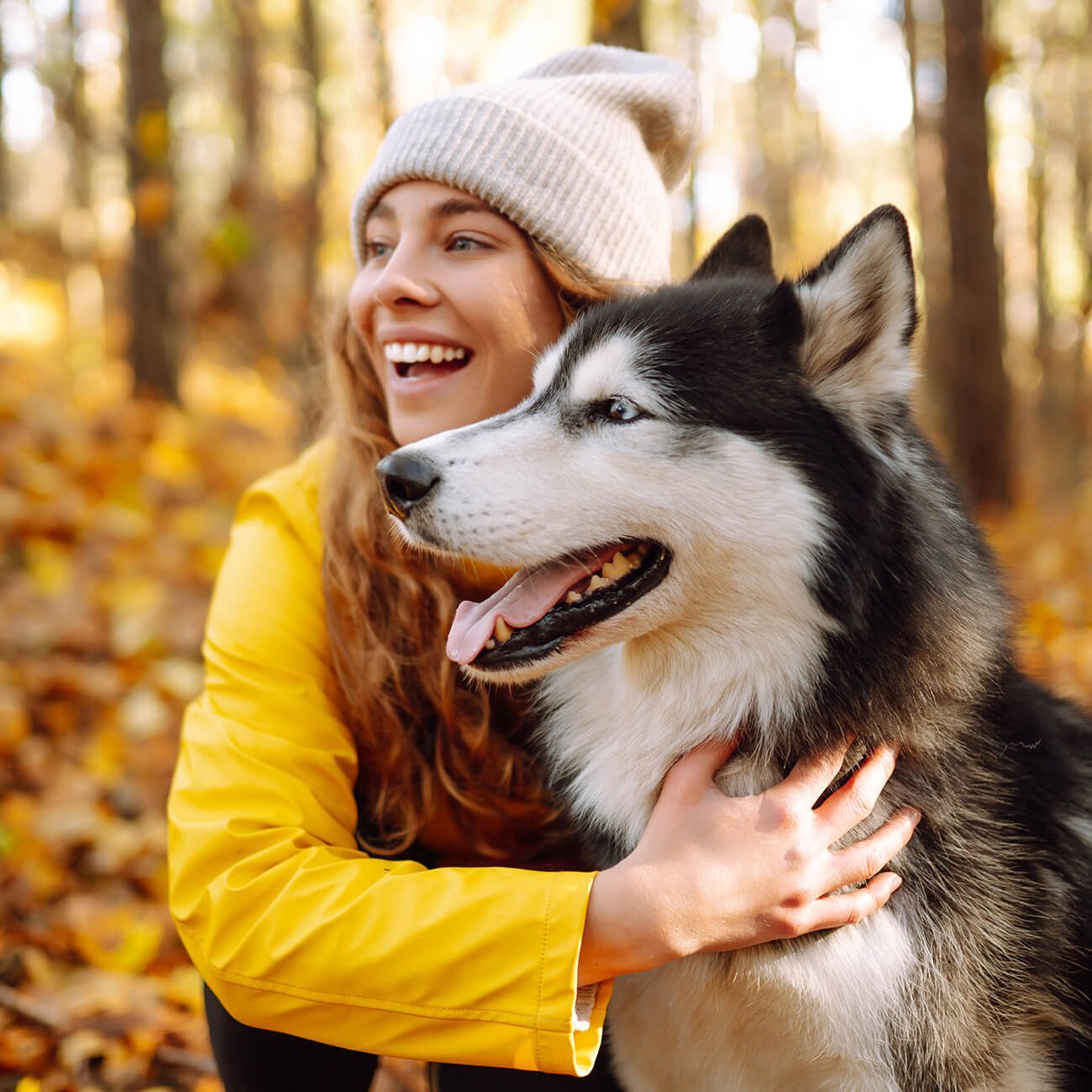 Mobile Veterinarian Addison County Vt