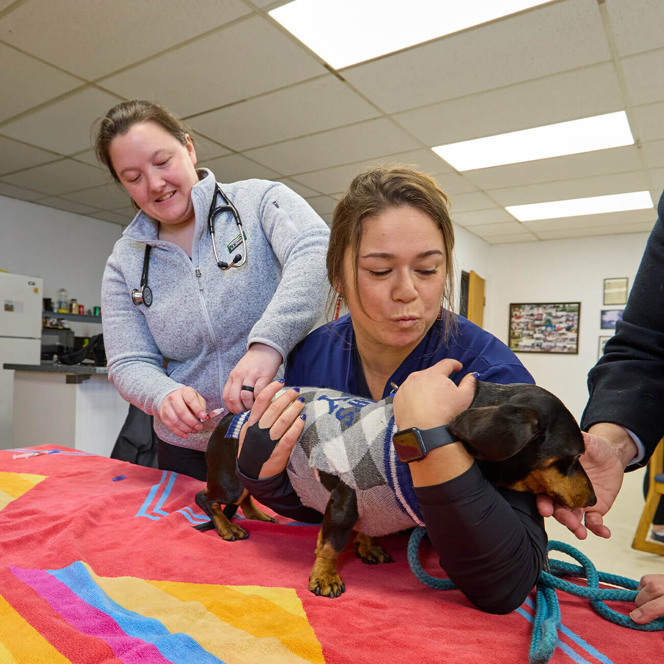 Vet And Tech Giving Dog A Vaccine