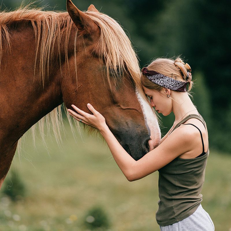 woman outdoors petting and hugging brown horse
